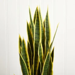 West Elm Faux Potted Sansevieria Plant