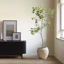 West Elm Faux Potted Snowball Tree