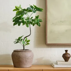 West Elm Faux Potted Tropical Tree