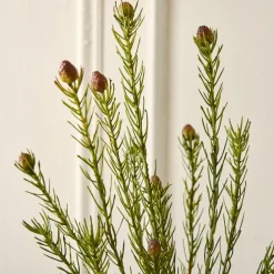 West Elm Faux Protea Stem