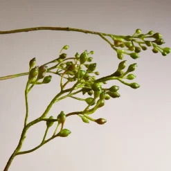 West Elm Faux Rosehip Branch