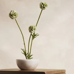 West Elm Faux Scabiosa Stem