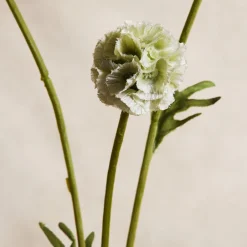 West Elm Faux Scabiosa Stem