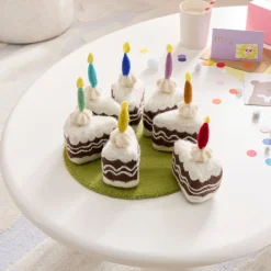 Kids West Elm Felt Birthday Accessories