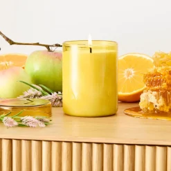 West Elm Field Kit - The Beekeeper Candle