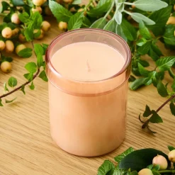 West Elm Field Kit - The Garden Candle