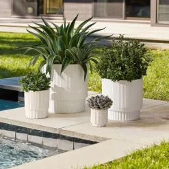West Elm Fluted Ceramic Indoor/Outdoor Planters