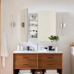 West Elm Frameless Seamless Double Wide Medicine Cabinet