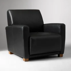 West Elm Haddon Leather Club Chair
