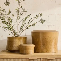 West Elm Jesse Ceramic Planters
