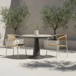 West Elm La Rochelle Outdoor Dining Chair