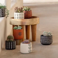 West Elm Little Korboose Rounded Planter - Thatch