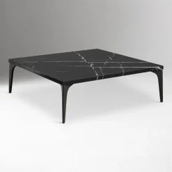 West Elm Mesa Coffee Table