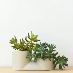 West Elm Misewell Ceramic & Planter -