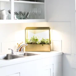West Elm Modern Sprout Smart Growhouse