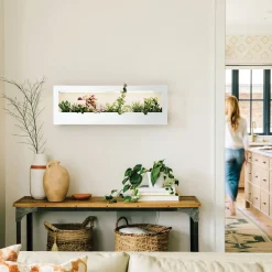 West Elm Modern Sprout Smart Landscape Growframe