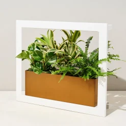 West Elm Modern Sprout Smart Matte Growframe