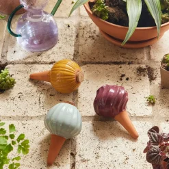 West Elm Modern Sprout Watering Bulb