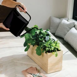 West Elm Modern Sprout Watering Cans