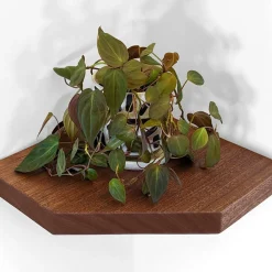 West Elm Nook Woodworking Floating Corner Shelf with Straight Edge (12"–16")