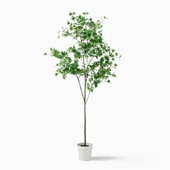 West Elm Open Box: Faux Maple Potted Tree (6') - Green