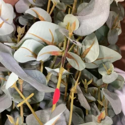 West Elm Open Box: Faux Potted Eucalyptus Tree (8')