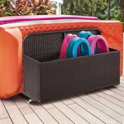 West Elm Palm Harbor Outdoor Wicker Float Caddy