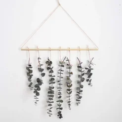 West Elm Pauline Stanley Studio Eucalyptus Wall Hanging Kit