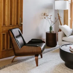 West Elm Paulo Bent Ply Leather Chair