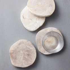 West Elm Petrified Wood Coaster Sets