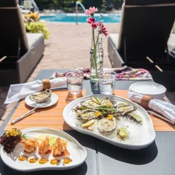 West Elm Playa Outdoor Melamine Dinnerware Collection