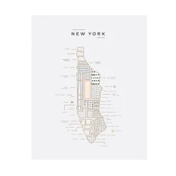 West Elm 42 Pressed Unframed Maps by Jackie Robinson