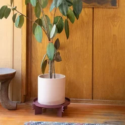 West Elm Reed Multipurpose Plant Stand