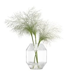 West Elm Rotunda Glass Vase