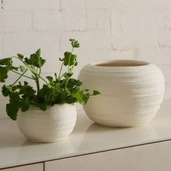 West Elm Rounded Ceramic Fluted Tabletop Planters