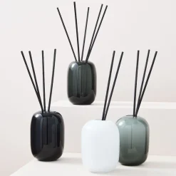 West Elm Rove Collection Reed Diffusers