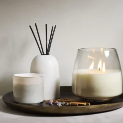 West Elm Rove Homescent Collection - Hidden Habitat