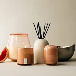 West Elm Rove Homescent Collection - Salted Grapefruit