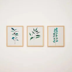 West Elm , & Framed Wall Art by Minted for
