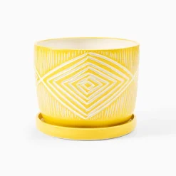 West Elm SampleHAUS Zulu Planter w/ Dish