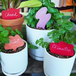 West Elm Scout Regalia Garden ID Tags