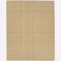 West Elm Seagrass Rug