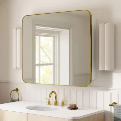 West Elm Seamless Double Medicine Cabinet