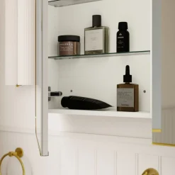 West Elm Seamless Double Medicine Cabinet