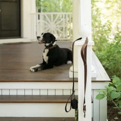 West Elm Steele Canvas Dog Leash & Poop Bag Holder