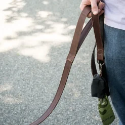 West Elm Steele Canvas Dog Leash & Poop Bag Holder