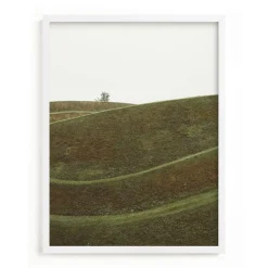West Elm "Swoop" Framed Art by Minted for