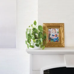 West Elm Tempaper Moire Dots Peel & Stick Wallpaper