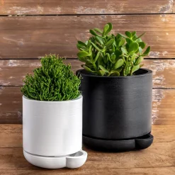 West Elm The Simple Self-Watering Pot