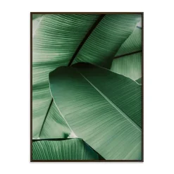 West Elm Tropical Leaves Framed Wall Art by Minted for